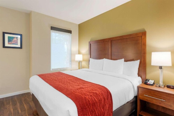 Comfort Inn & Suites Near Ontario Airport image 15