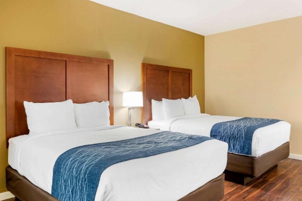 Comfort Inn & Suites Near Ontario Airport image 20