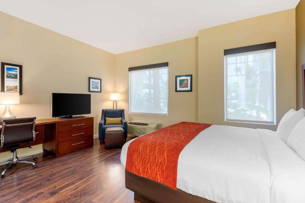Accessible Room, 1 King Bed, Roll-In Shower, Non Smoking